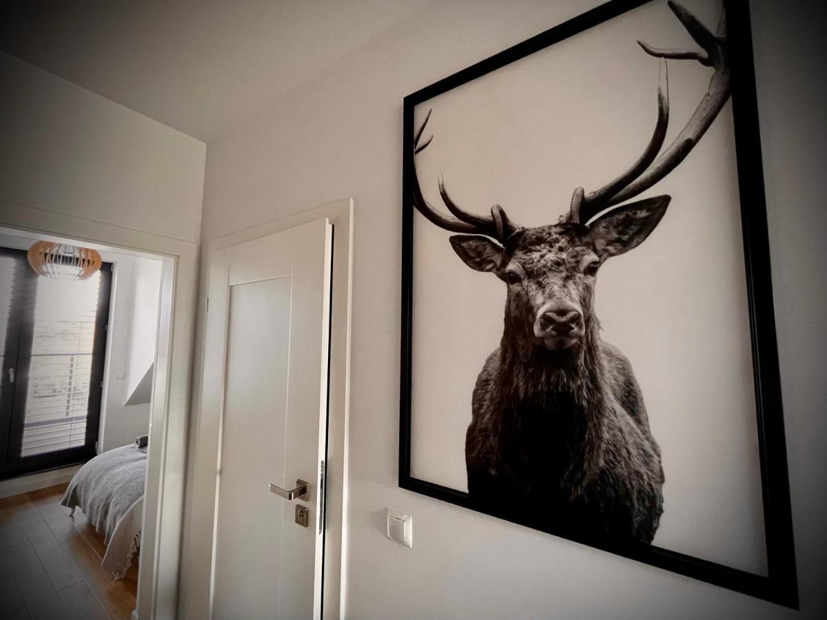 Lazy Deer - Apartamenty Jelenia Góra Exterior foto